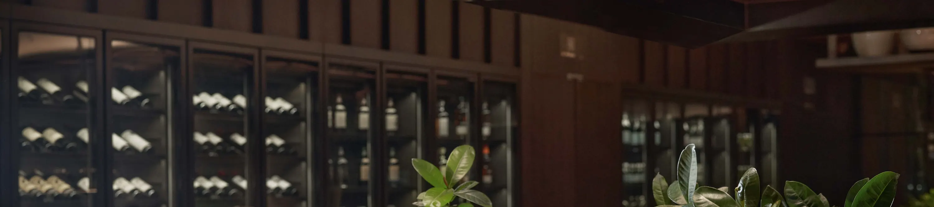 广州有马空间Spa | 琶洲店